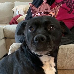 Meet your Posher, Janie